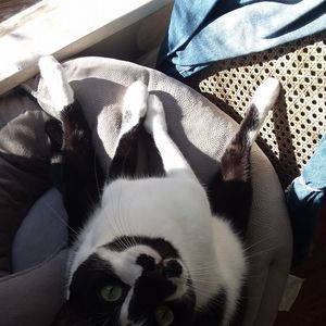 Meet your Posher, Vanessa